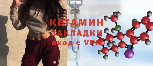 шишки Анива
