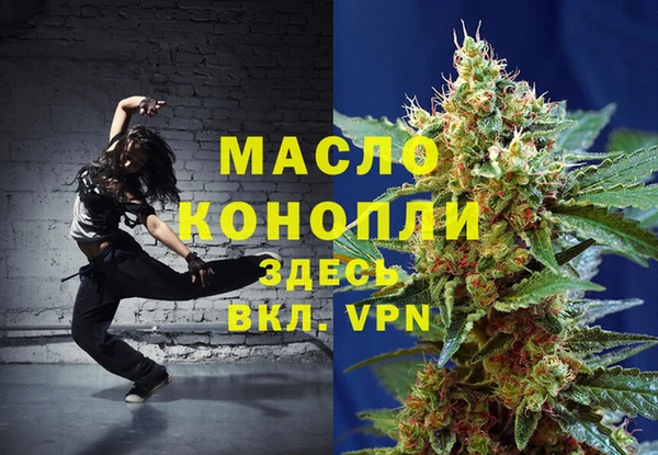 гашик Михайлов