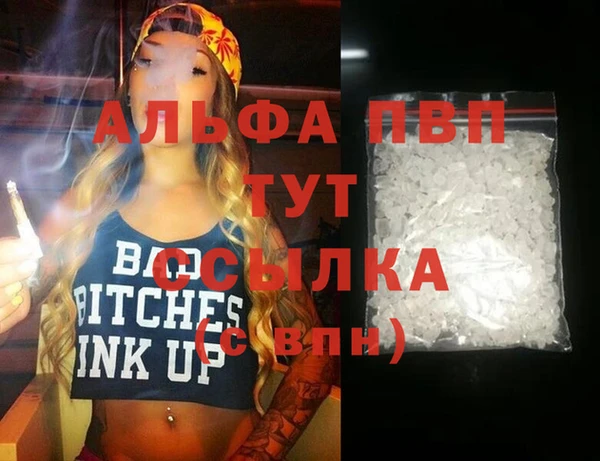 гашик Михайлов