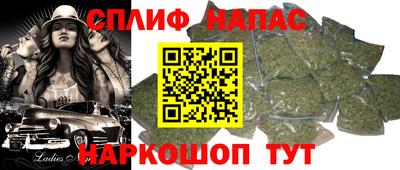 гидропоника Будённовск