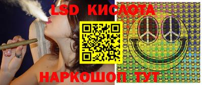 гидропоника Будённовск