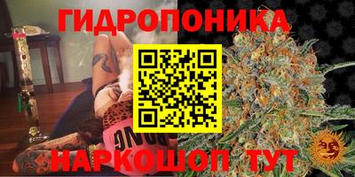 стафф Бугуруслан
