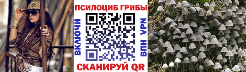 Галлюциногенные грибы GOLDEN TEACHER  Копейск 
