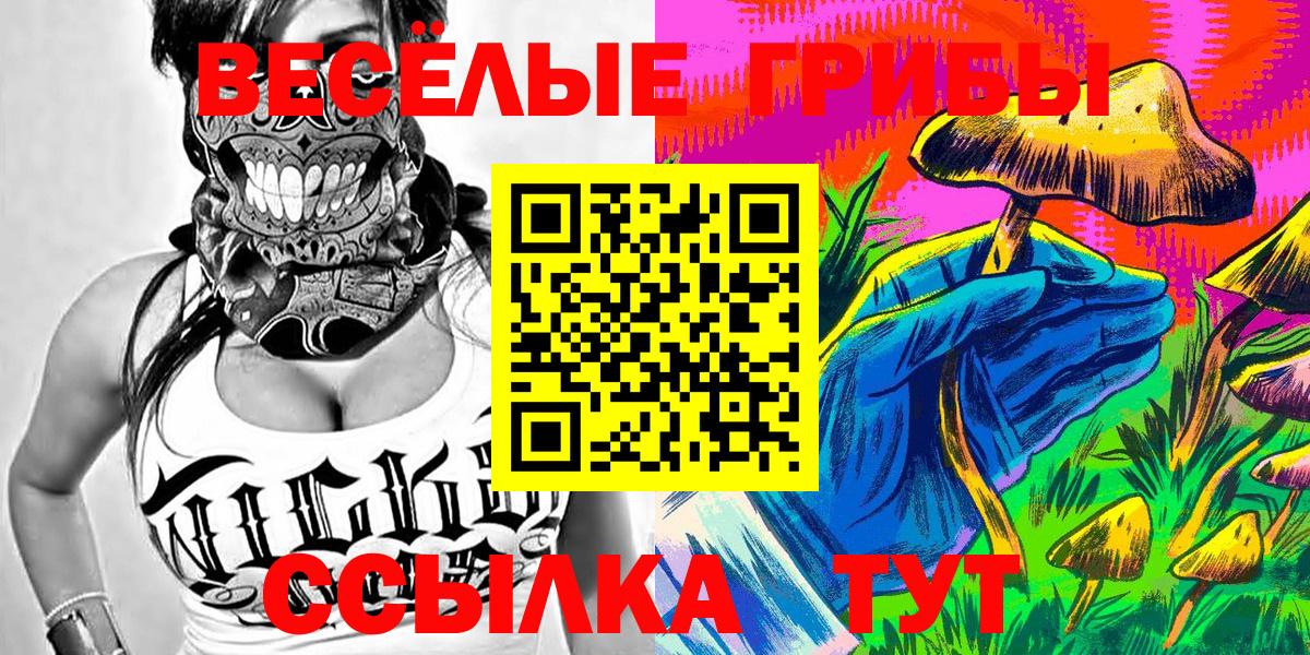 Псилоцибиновые грибы Psilocybine cubensis  Вход с VPN  Копейск  Галлюциногенные грибы Psilocybine cubensis 